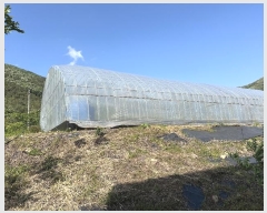  2024Ÿ��3594  �����