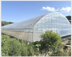  2024Ÿ��3594  �����