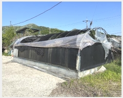  2024Ÿ3594  强 ϸ ϸ 801-1      