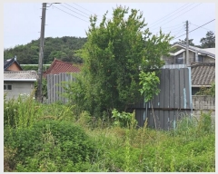  2024Ÿ��4375 ���� �ϱ� �žȵ� 250-6       ���ð��