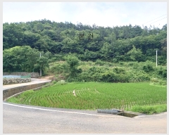  2024Ÿ5149  ȭ  û 15-23      (Ӿ)