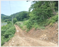  2024Ÿ5149  ȭ  û 15-23      (Ӿ)