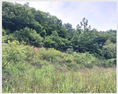  2024Ÿ5149  ȭ  û 15-23      (Ӿ)