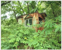  2024Ÿ5149  ȭ  û 15-23      (Ӿ)