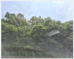  2024Ÿ5149  ȭ  û 15-23      (Ӿ)