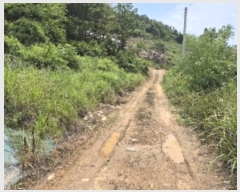  2024Ÿ5149  ȭ  û 15-23      (Ӿ)