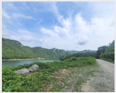  2024Ÿ5293  籺  뿬 238      (Ӿ)