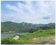  2024Ÿ5293  籺  뿬 238      (Ӿ)