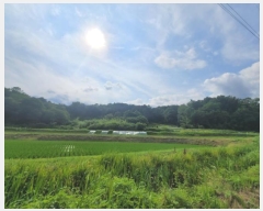  2024Ÿ5293  籺  뿬 238      (Ӿ)