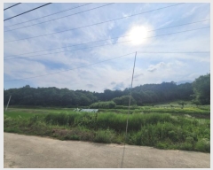  2024Ÿ5293  籺  뿬 238      (Ӿ)