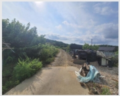  2024Ÿ5293  籺  뿬 238      (Ӿ)