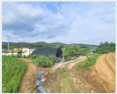  2024Ÿ5293  籺  뿬 238      (Ӿ)