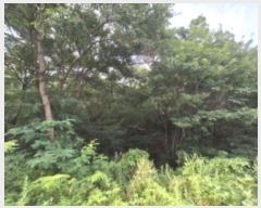  2024Ÿ5293  籺  뿬 238      (Ӿ)