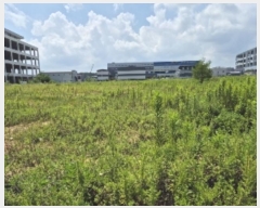  2024Ÿ6296  걸 굿 1243       ()