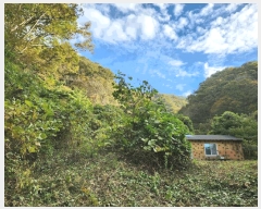  2024Ÿ��8063 ���� ȭ���� ������ ������ ��121      ����(�Ӿ�)���