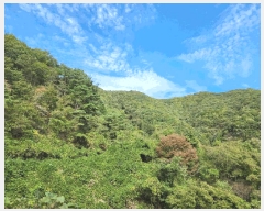  2024Ÿ��8063 ���� ȭ���� ������ ������ ��121      ����(�Ӿ�)���