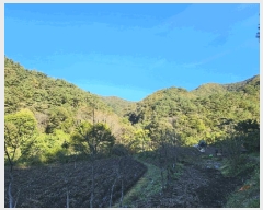  2024Ÿ��8063 ���� ȭ���� ������ ������ ��121      ����(�Ӿ�)���