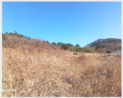  2024Ÿ��9424  �Ӿ߰��