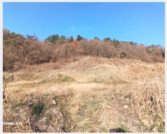  2024Ÿ��9424  �Ӿ߰��