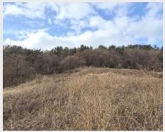  2024Ÿ��9424  �Ӿ߰��