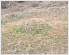  2024Ÿ��9424  �Ӿ߰��