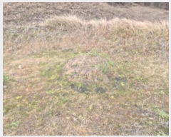  2024Ÿ��9424  �Ӿ߰��