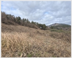  2024Ÿ��9424  �Ӿ߰��