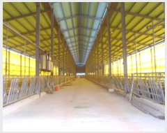  2024Ÿ��71894  ���(�󰡽ü�)���