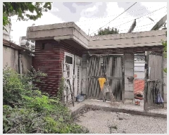  2024Ÿ��73319  ���ð��