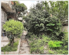  2024Ÿ��73319  ���ð��