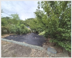  2024Ÿ��73494  �������