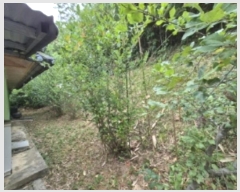  2024Ÿ73494  强  ɼ 82      (Ӿ)