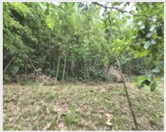  2024Ÿ73494  强  ɼ 82      (Ӿ)