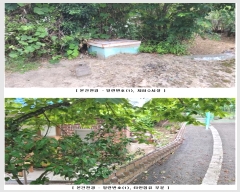  2024Ÿ73494  强  ɼ 82      (Ӿ)