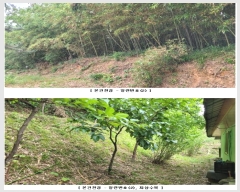  2024Ÿ73494  强  ɼ 82      (Ӿ)