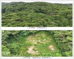  2024Ÿ73494  强  ɼ 82      (Ӿ)