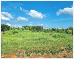  2024Ÿ74565  ֽ Ȳ  271-15      ()