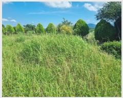  2024Ÿ74565  ֽ Ȳ  271-15      ()