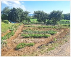  2024Ÿ74565  ֽ Ȳ  271-15      ()