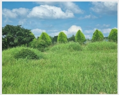  2024Ÿ74565  ֽ Ȳ  271-15      ()