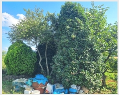  2024Ÿ74565  ֽ Ȳ  271-15      ()