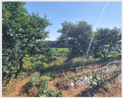  2024Ÿ74565  ֽ Ȳ  271-15      ()