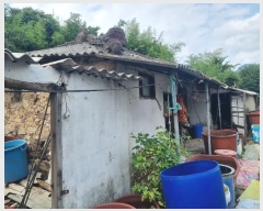  2024Ÿ74824  ȭ ȭ  183-2      ()