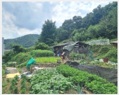  2024Ÿ74824  ȭ ȭ  183-2      ()