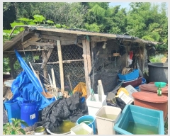  2024Ÿ74824  ȭ ȭ  183-2      ()