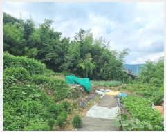  2024Ÿ74824  ȭ ȭ  183-2      ()