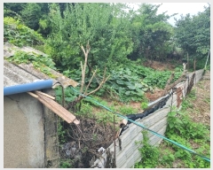  2024Ÿ74824  ȭ ȭ  183-2      ()