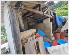  2024Ÿ74824  ȭ ȭ  183-2      ()