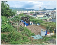  2024Ÿ74824  ȭ ȭ  183-2      ()