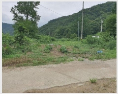  2024Ÿ��75346  ����